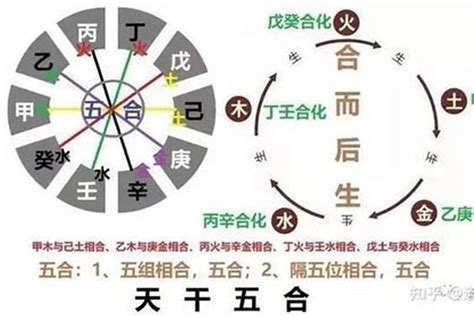 身旺身弱|八字「身強」與「身旺」的細緻區分